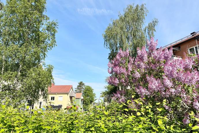 1 rum lägenhet på Skolgatan 134 Öst på stan, Umeå kommun - bild 2
