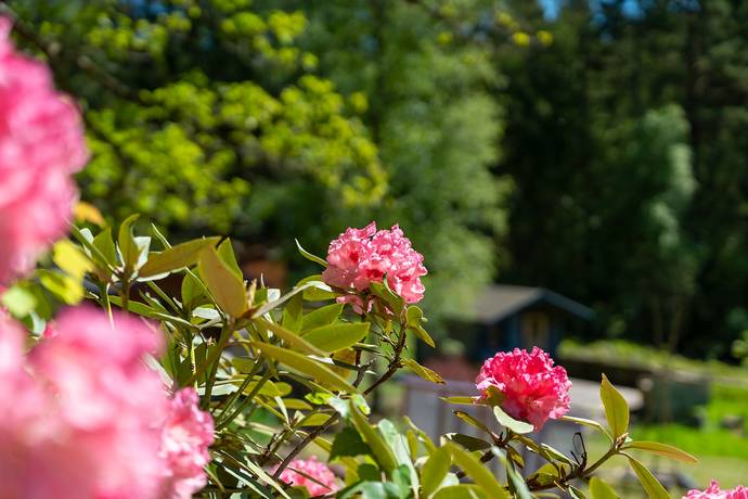 1 rum Villa på Kåhult 612 Härryda Härryda kommun - bild 25