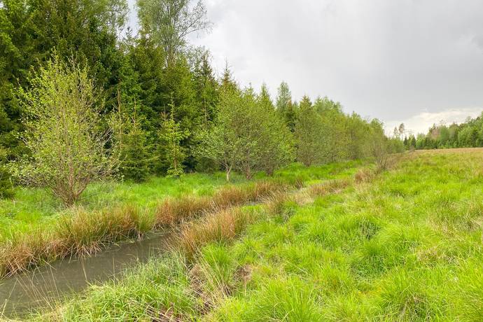 Gård med jordbruk på Dannäs Jonsbo 4 Dannäs ca 4 km från sjön Bolmen Värnamo kommun - bild 32