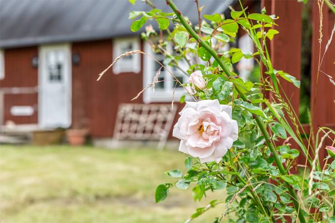 gård/skog på Gamlebygatan 40 Gamleby, Borgholms kommun - bild 4