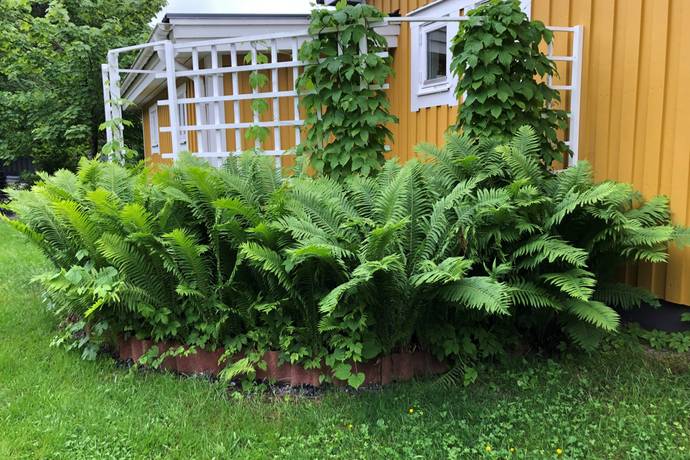6 rum Villa på Kempegatan 22 Hörnefors Umeå kommun - bild 38