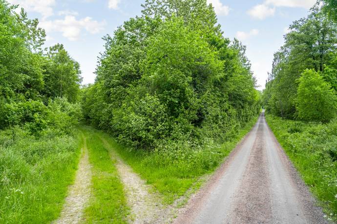 Tomt på Drömtomt med generösa 13 hektar – positivt förhandsbesked, jakträtt och vacker natur nära Billinge! Billinge Eslövs kommun - bild 9