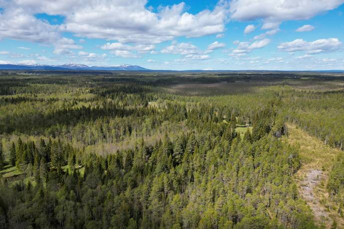 Gård/skog på Åre Rörön 1:2, 2:2 samt 2:3 Åre kommun - bild 19