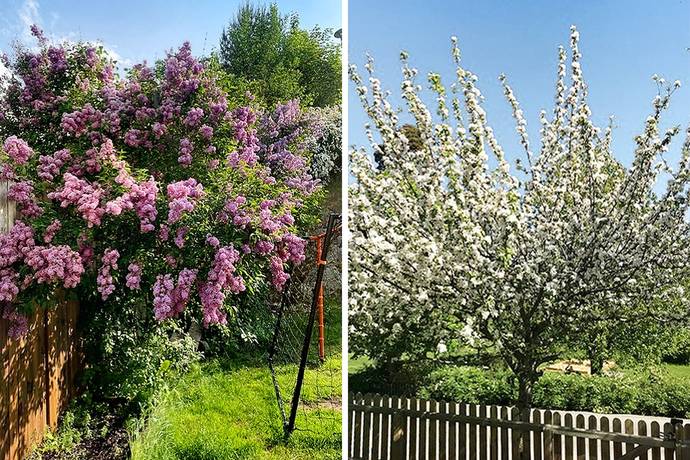 4 rum Parhus på Fornborgsvägen 26B Solgård Huddinge kommun - bild 30