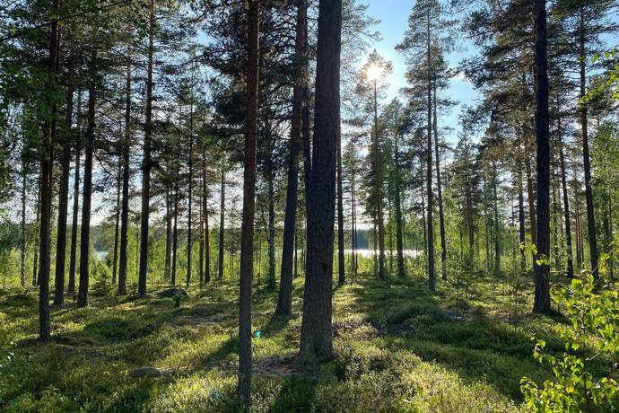 3 rum Vinterbonat fritidshus på Kesjön 15 Kesjön/Nornäs Älvdalens kommun - bild 24