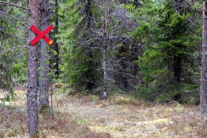 Gård med skogsbruk på HÄRJEDALEN HÅN 9:13, 14:6, 14:7 Vemhån Härjedalens kommun - bild 21