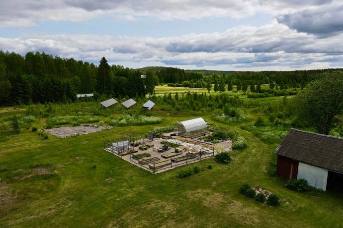4 rum Gård med jordbruk på Hjoggböle 35 Skellefteå Skellefteå kommun - bild 3
