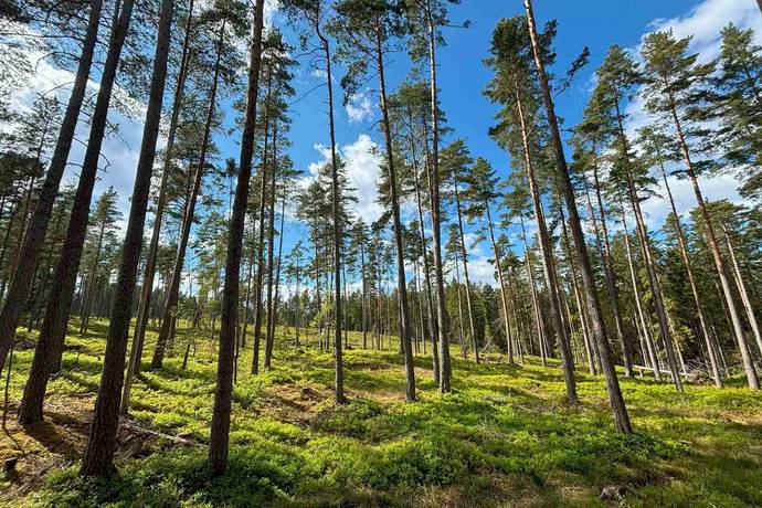 Gård med skogsbruk på Stenkällegården 1 Tiveden Karlsborgs kommun - bild 80
