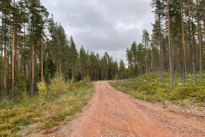 ÄLVDALEN ÅSEN 73:9 del av, Åsen, Älvdalens kommun