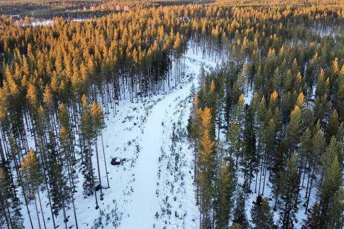 Gård med skogsbruk på Nya Ånäset Bygdeå Robertsfors kommun - bild 9