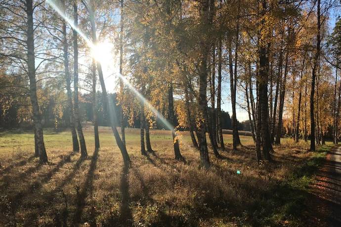 3 rum Vinterbonat fritidshus på Dånbergsvägen 3 Grovstanäs Norrtälje kommun - bild 44