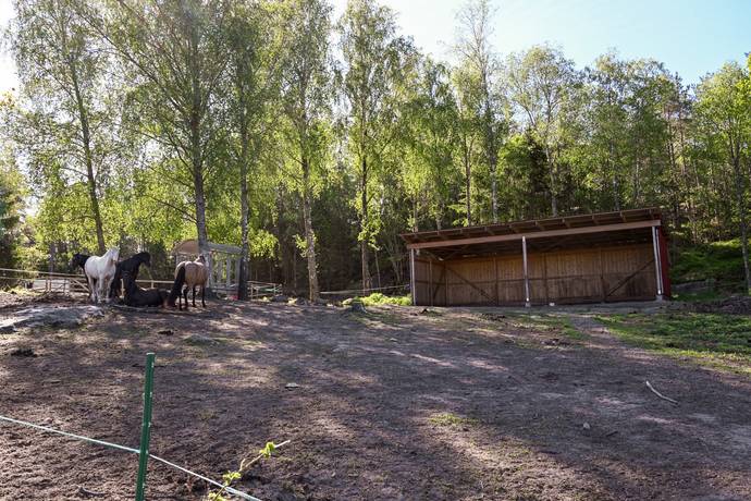 5 rum Gård utan jordbruk på Borrekärr Lökholmen 1 Lur Tanums kommun - bild 32