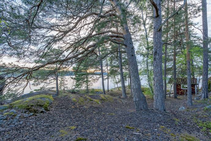 2 rum Fritidsboende på Näs Tallholmen 1 Gusum Valdemarsviks kommun - bild 27