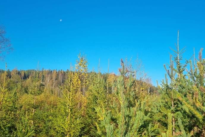 NORDMALING GRÄSMYR 3:17, Gräsmyr, Nordmalings kommun