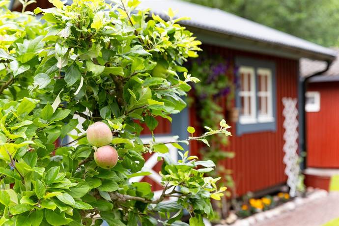 6 rum Villa på Norrskedika 245 Östhammars kommun - bild 34