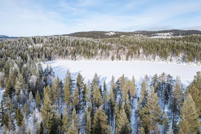 Gård/skog på Torsfjärden 320 Lidsjöberg Strömsunds kommun - bild 41