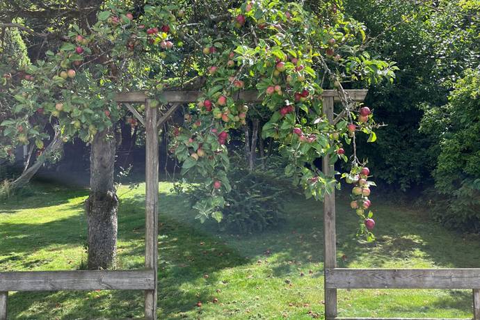 tomt på Björkvägen 4A Björnås, Åstorps kommun - bild 2
