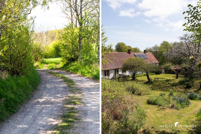 150 m² Gård/skog på Erikstorpsvägen 107 Boarp Båstads kommun - bild 23