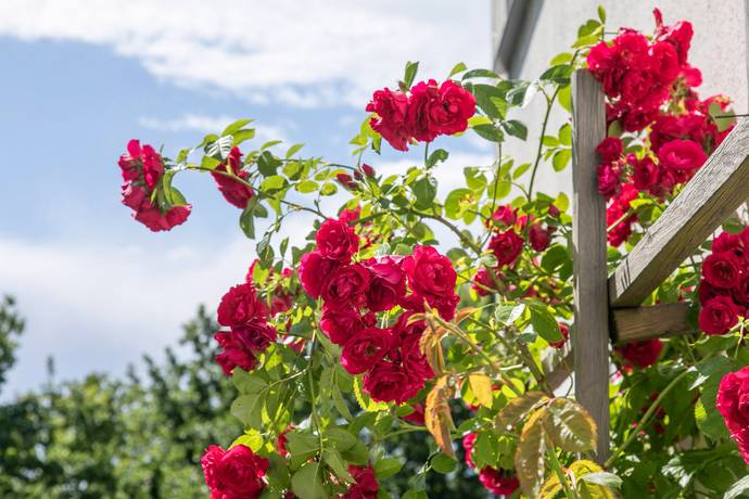 6 rum Villa på Freyvägen 34 Igelboda Nacka kommun - bild 6