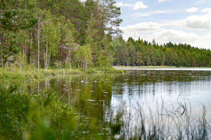 1 rum fritidshus på Skisstjärn Gagnef, Gagnefs kommun - bild 3