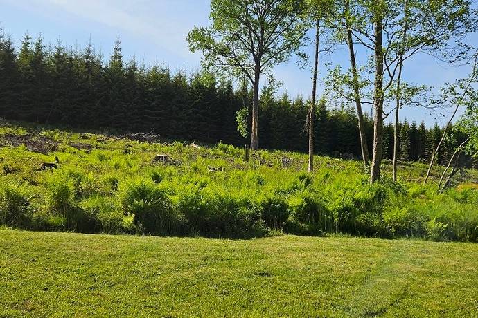4 rum fritidshus på Bjurbäck Stughemmet 1 Bjurbäck, Mullsjö kommun - bild 2
