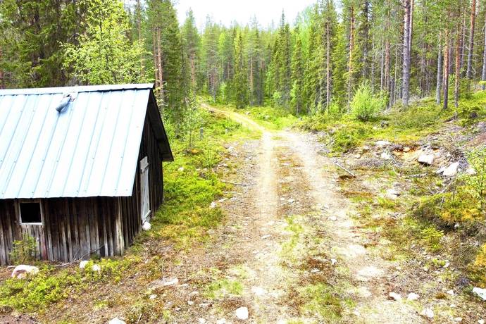 gård/skog på Holmen 2 Glommersträsk, Arvidsjaurs kommun - bild 2