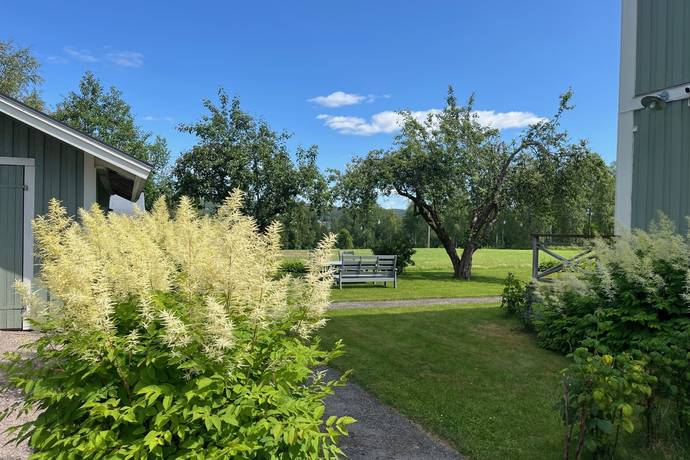 Övrig på Viljamsbol 7 Viljamsbol Hagfors kommun - bild 2
