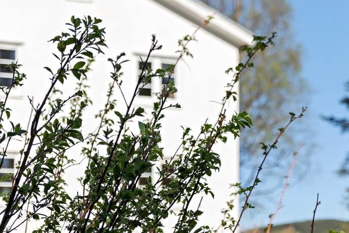 6 rum Villa på Sollidenvägen 7 Bograngen Torsby kommun - bild 34
