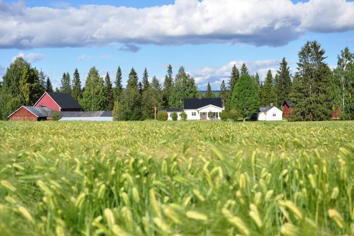Nybyn 10, Älvsbyn, Älvsbyns kommun