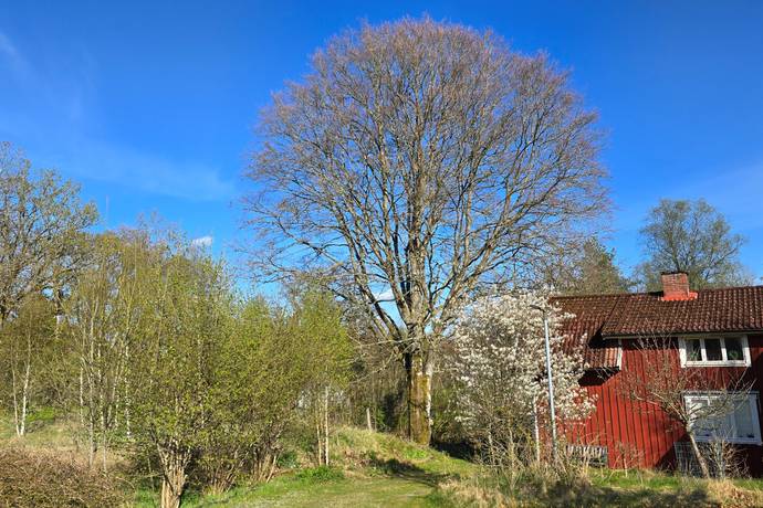 5 rum Vinterbonat fritidshus på Mölnetången 2 Gislaveds kommun - bild 9