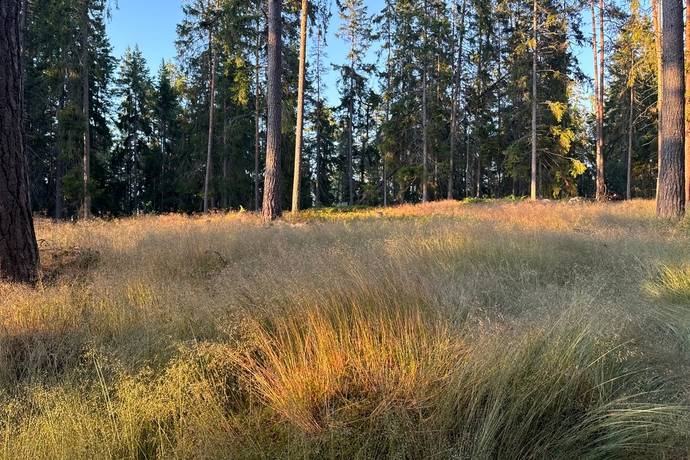 tomt på Edövägen 10 Svartnö - Furusund, Norrtälje kommun - bild 2