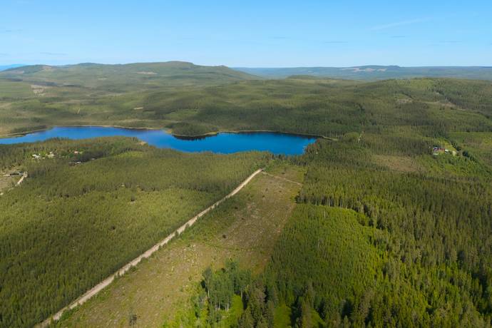 Gård/skog på Ytterberg 431 Ytterberg Härjedalens kommun - bild 8