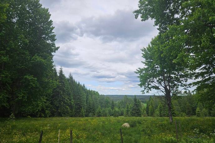 4 rum Fritidshus på Bjurbäck Stughemmet 1 Bjurbäck Mullsjö kommun - bild 19