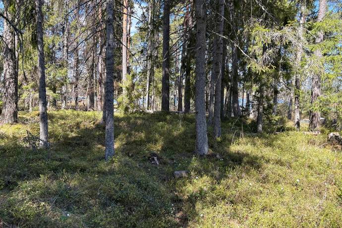 tomt på Klippanvägen 17 Blidö, Norrtälje kommun - bild 5