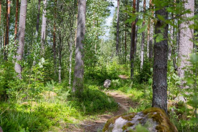 4 rum Vinterbonat fritidshus på Andstigen 7 Bränntorp Finspångs kommun - bild 35