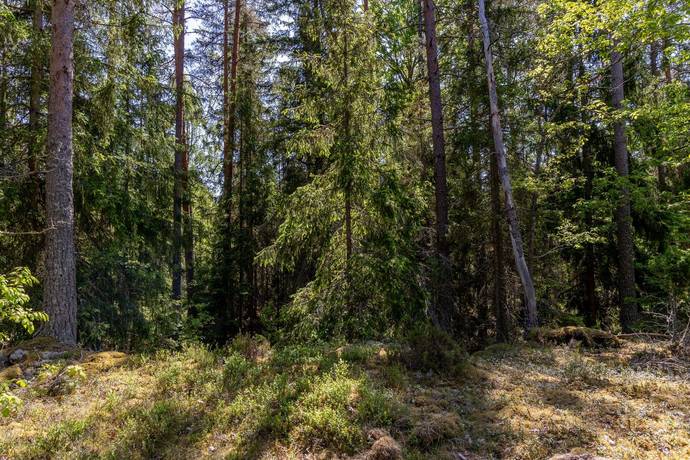 8 rum Gård med skogsbruk på Baggetorpskvarn Äspemåla 1 Äspemåla Oskarshamns kommun - bild 10