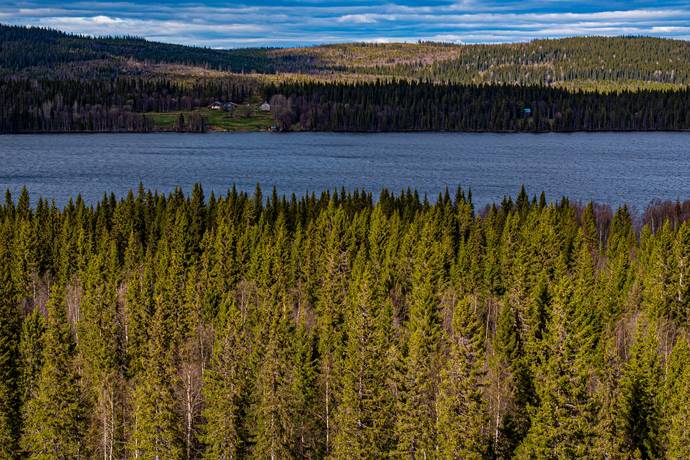 Storuman, Storumans kommun