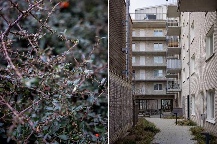 2 rum Lägenhet på Östra Varvsgatan 3BC Dockan Malmö kommun - bild 18