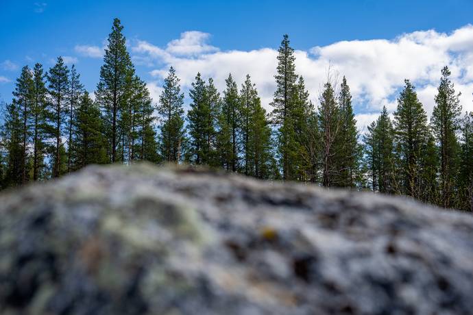 Gård/skog på Gargnäs 1:5 Sorsele Sorsele kommun - bild 13