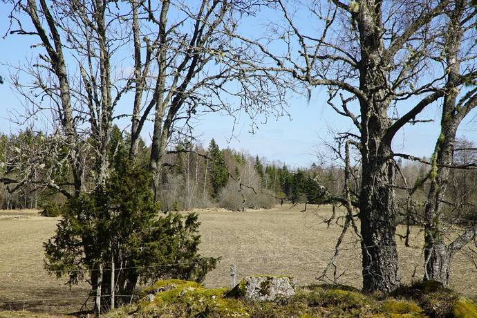 Gård/skog på Norrlövsta Östhammars kommun - bild 8