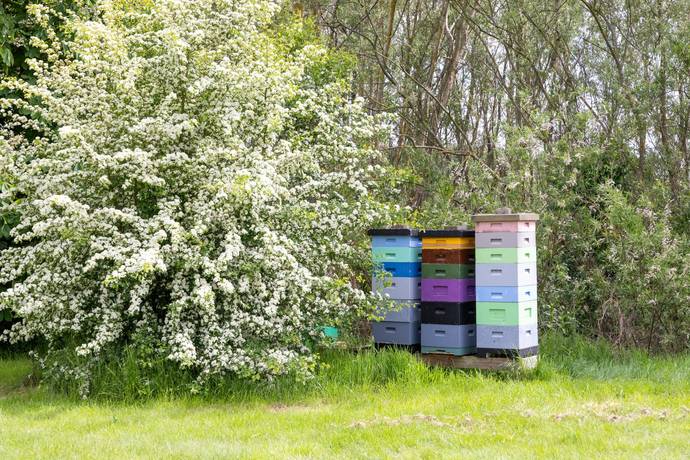 4 rum Parhus på N P Skölds väg 35 Toarp Ekobyn Malmö kommun - bild 33
