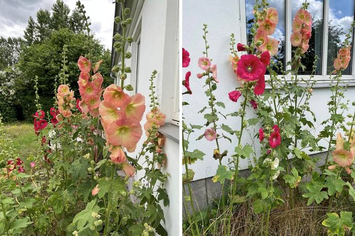 3 rum Villa på Karlsfältsvägen 138 Stora Herrestad Ystads kommun - bild 31