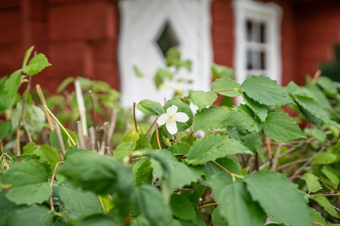 4 rum Fritidshus på Torrskogs stom 10 Torrskog Bengtsfors kommun - bild 27