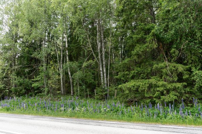 Skinnskatteberg, Skinnskattebergs kommun