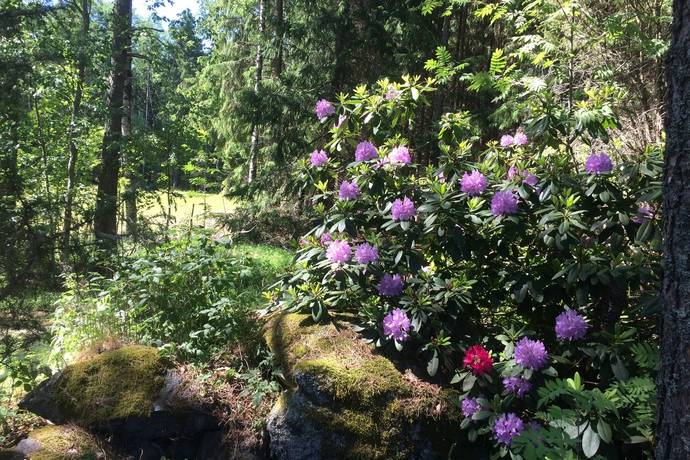 4 rum Villa på Hälletorp Åsen 1 Arvika Eda kommun - bild 47