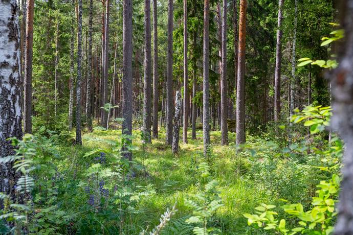 4 rum Vinterbonat fritidshus på Andstigen 7 Bränntorp Finspångs kommun - bild 31