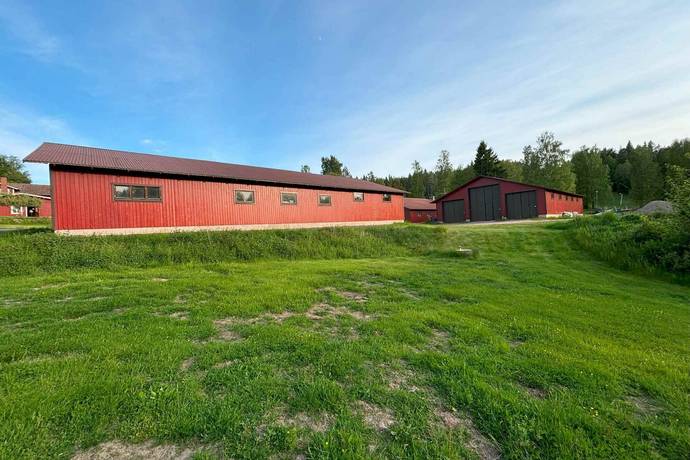 Gård med skogsbruk på Stenkällegården 1 Tiveden Karlsborgs kommun - bild 51