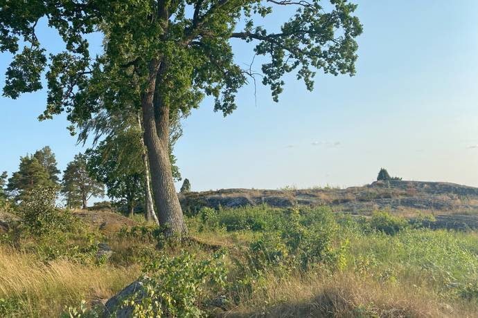 7 rum Villa på Domgärdesvägen 1 Ingarö - Grönskan Värmdö kommun - bild 50