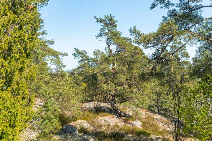 7 rum villa på Musseronvägen 16 Bryngelstorp, Nyköpings kommun - bild 4