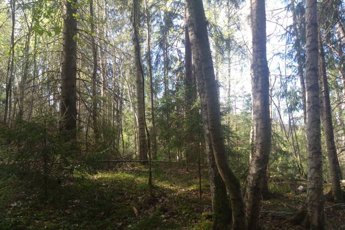Tomt på Lindesby 510 Nora kommun - bild 5